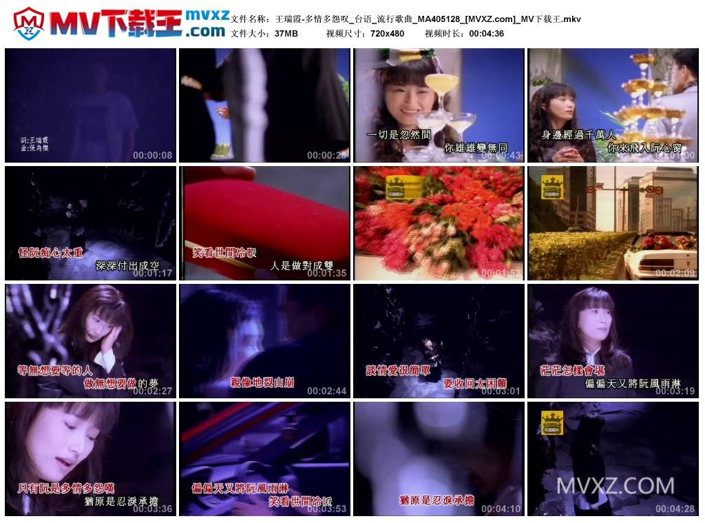 王瑞霞-多情多怨叹_台语_流行歌曲_MA405128